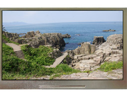 4.3 inch TFT LCD Module