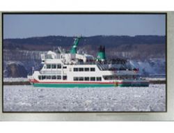 7.0" TFT LCD Modules, TFT Panel Manufacturer